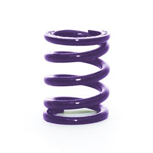 098-067 - Purple Spring